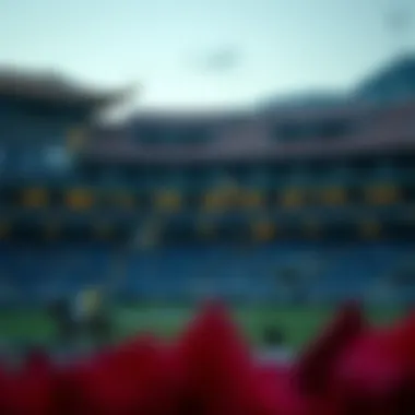 Magnificent 아시아북이 라이브 스코어 해부 Magnificent 아시아북이 라이브 스코어 해부