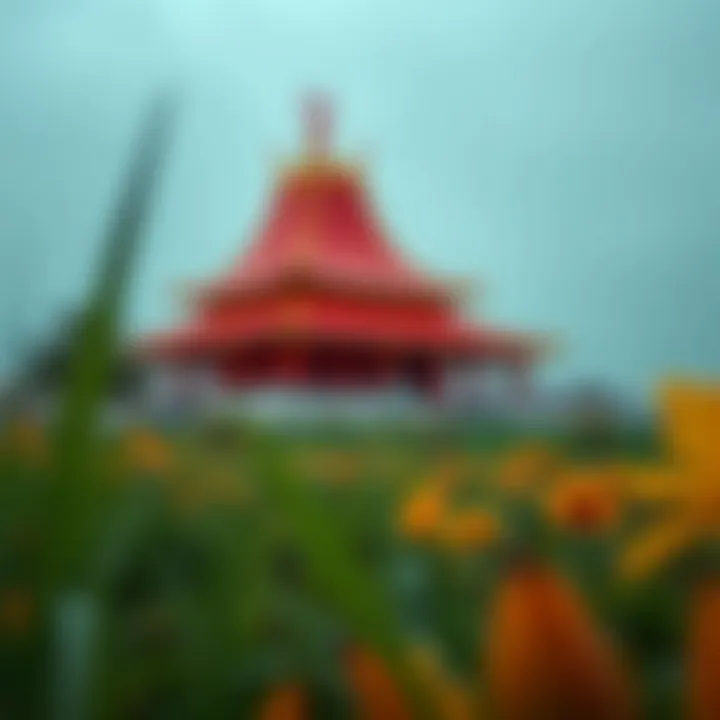 Magnificent 바카라 게임 사이트에 대한 심층 분석