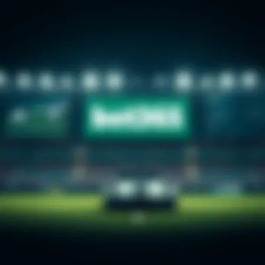 Magnificent bet365 가입 보너스 코드 안내