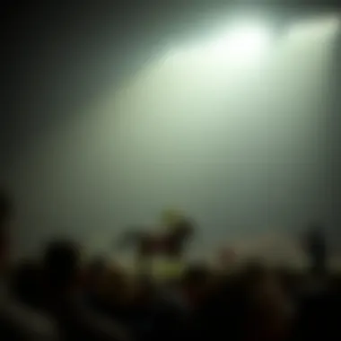 Magnificent 베팅 플랫폼의 진화와 전망