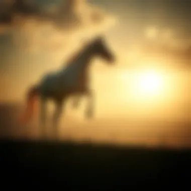 Magnificent 카지노 슬롯 게임에 대한 심층 탐구 Magnificent 카지노 슬롯 게임에 대한 심층 탐구