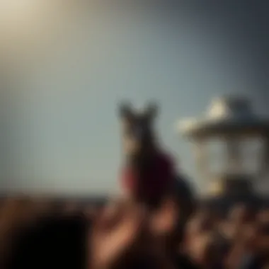 Magnificent 온라인 블랙잭 라이브의 세계 탐구 Magnificent 온라인 블랙잭 라이브의 세계 탐구