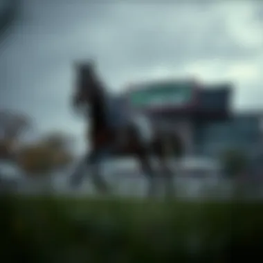Magnificent 온라인 포커 사이트의 현황과 전략