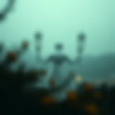 Magnificent 폭넓은 베팅 분석: 스포츠와 카지노의 이해 Magnificent 폭넓은 베팅 분석: 스포츠와 카지노의 이해