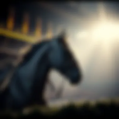 Magnificent 승률의 이해와 분석 Magnificent 승률의 이해와 분석