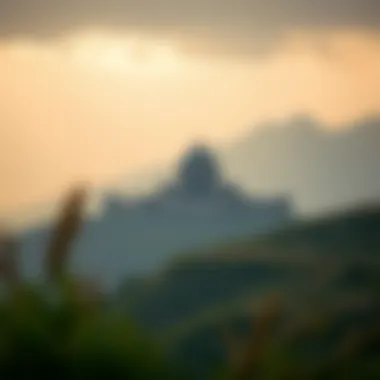 Magnificent 실시간 스포츠 경기: 전략과 이해 Magnificent 실시간 스포츠 경기: 전략과 이해
