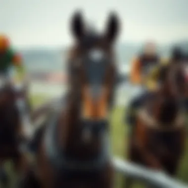 Unique stories of racehorses in the Grand National