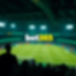 A strategic overview of bet365's platform