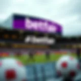 Betfair Sportsbook의 깊이 있는 탐구 Introduction