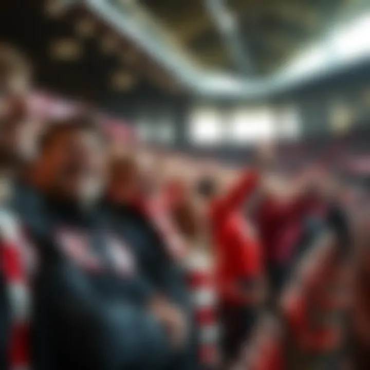 Fans cheering in the stadium