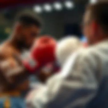 Diverse Types of Boxing Bets