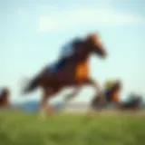 Symbolic representation of a galloping horse in motion