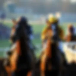 Key competitors in the Grand National race