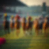 An overview of a horse racing meeting with various horses and jockeys in action