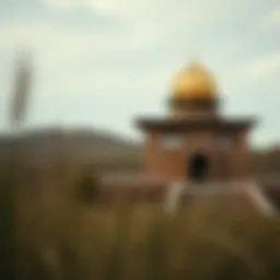 크리켓 게임: 전략과 베팅의 이해 Introduction