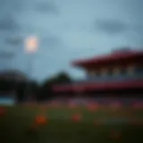 무료 포커 게임: 전략과 선택 Introduction