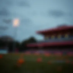 무료 포커 게임: 전략과 선택 Introduction