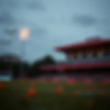 무료 포커 게임: 전략과 선택 Introduction