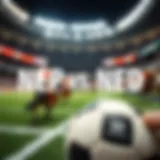 Comparative analysis of NEP and NED in sports betting