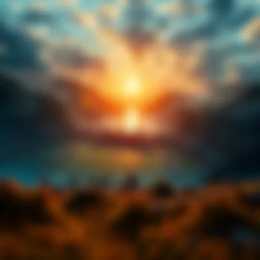 Dynamic illustration of sports betting in New Zealand