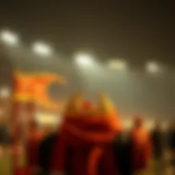 프로토라이브: 효율적인 베팅 전략과 분석 Introduction