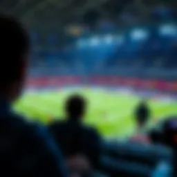 Premier League viewing experience