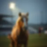 리크 앤 모티 메가웨이즈: 새로운 베팅 경험을 위한 가이드 Introduction