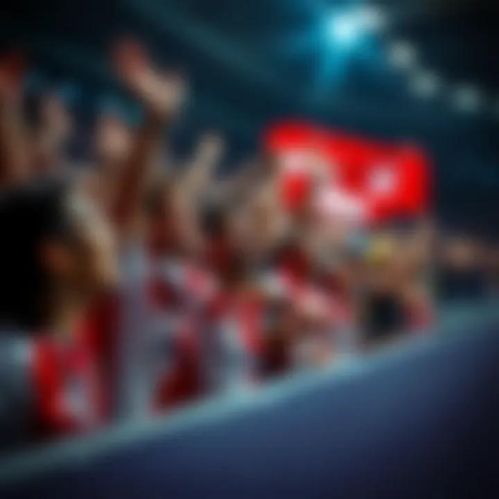 Fans celebrating a victory