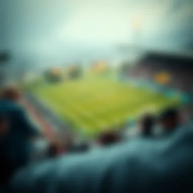 Exploring Various Betting Strategies with Handicaps Different types of betting strategies involving handicaps