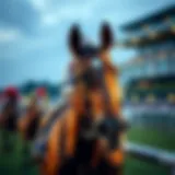Understanding betting odds in horse racing